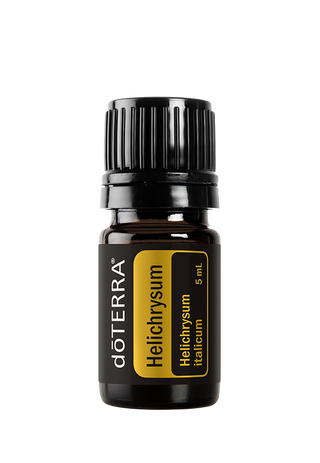 Helichrysum